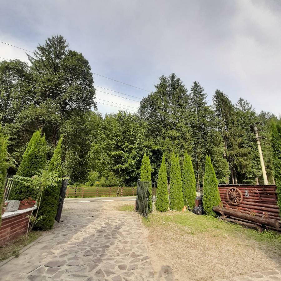 Popas Balea Rau Hotel Cîrţişoara Kültér fotó